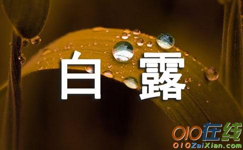 白露节气灯谜及答案