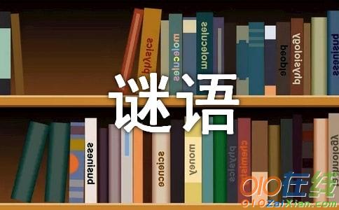 数字谜语有哪些