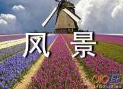 風景優美的排比句大全