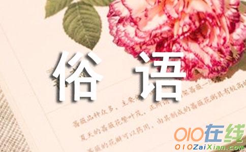 三字俗语及解释