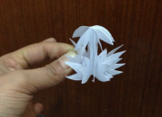 剪纸立体花朵图案步骤