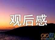 《中國合伙人》觀后感作文500字