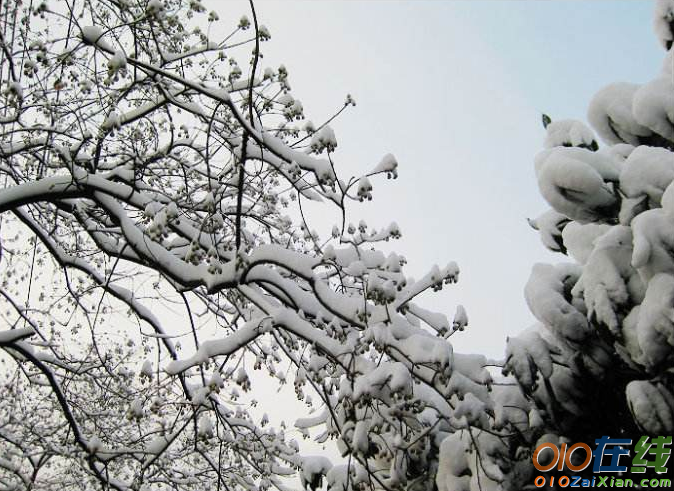 下雪天的心情说说