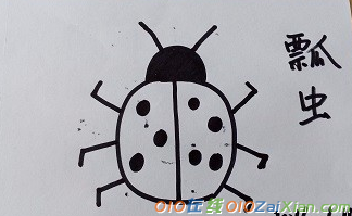 小瓢虫简笔画图片