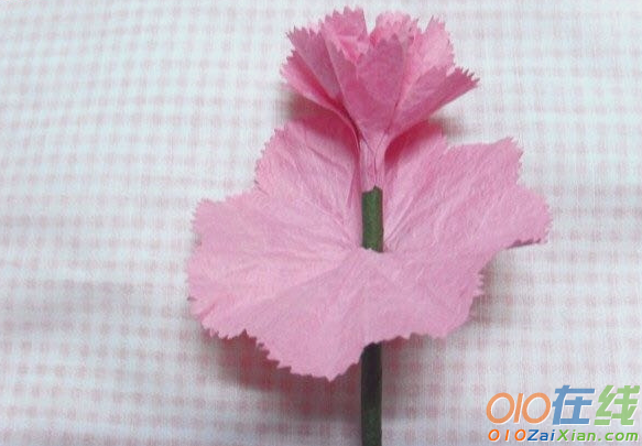 最简单的康乃馨折纸