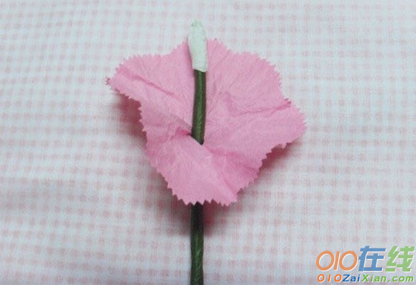 最简单的康乃馨折纸