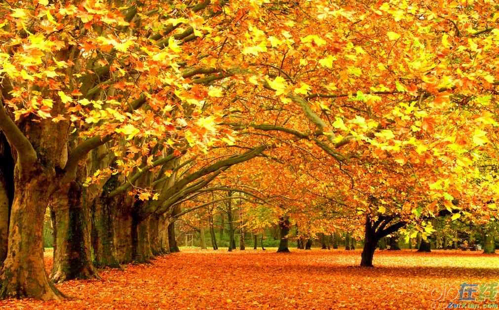 形容秋季美景的诗句