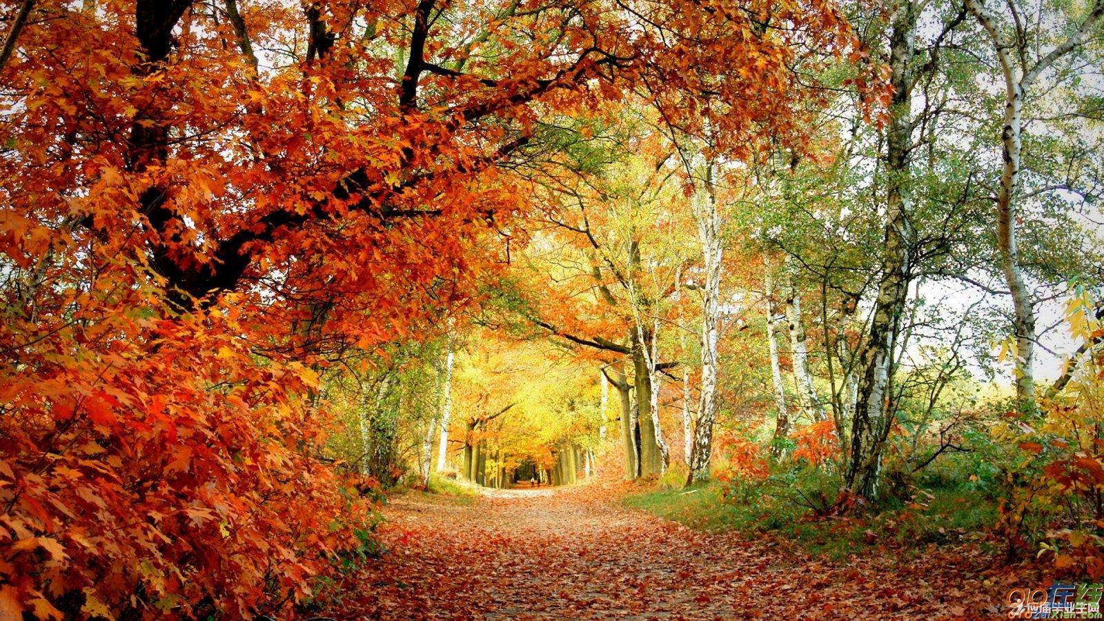 描写秋季的诗句有哪些