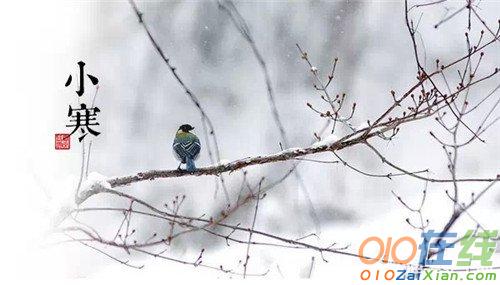 二十四节气立小寒图片