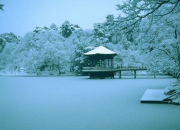 張岱經(jīng)典詩(shī)文《湖心亭看雪》