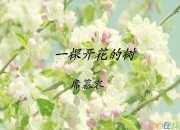 席慕容簡介