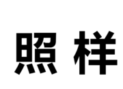 照樣的近義詞是什么