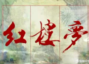 紅樓夢小說讀后感