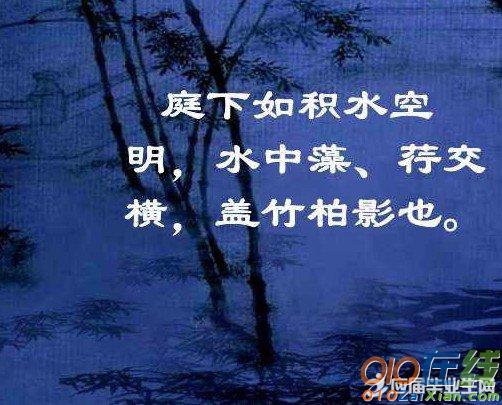 记承天寺夜游考察设计