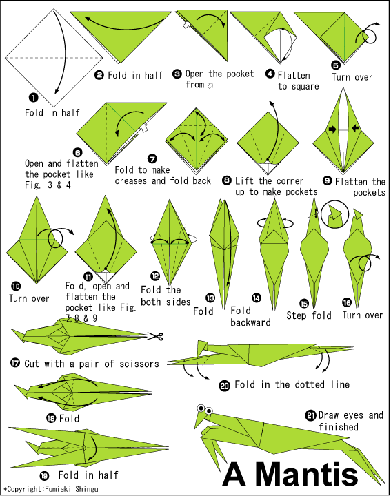 简单折纸螳螂手工折纸教程