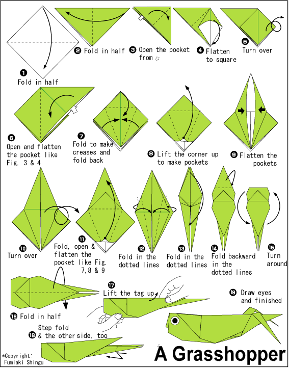 折纸蚂蚱儿童折纸教程