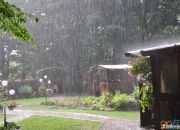 余光中散文欣賞：聽聽那冷雨