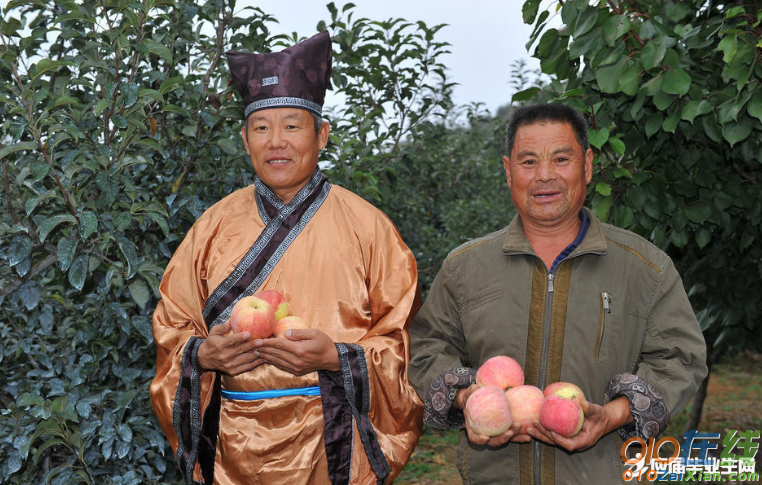 3人小品《卖苹果》