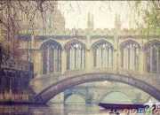 徐志摩愛情詩朗誦