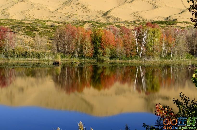 新疆白沙湖风景图片