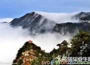 《題西林壁》中的廬山