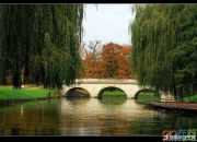 《再別康橋》全詩鑒賞