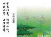 詩經 采薇的詩意100字
