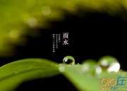 什么的雨水開學作文