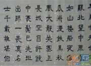 陸游寫的愛國詩介紹