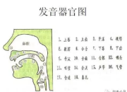 汉语拼音发音口型及配图