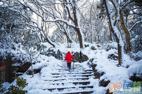 梁实秋雪原文