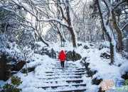 梁實秋雪原文