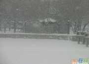 《滿井游記》《湖心亭看雪》比較閱讀及答案