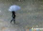 感悟人生好詞好句