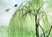 曾鞏《詠柳》原文及賞析