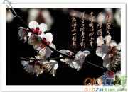 梅花絕句 陸游答案