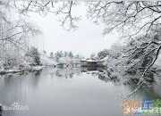 張岱《湖心亭看雪》是賞析