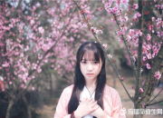取名女孩 詩經