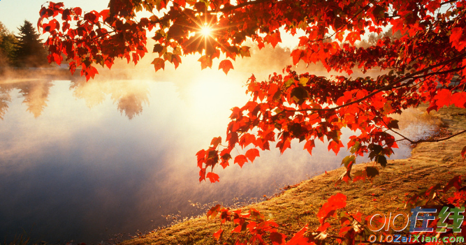 秋季景色的诗句