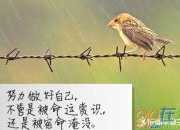 名人名言警句勵志格言