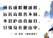 《題西林壁》賞析及試題