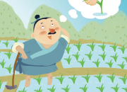 成語故事英語作文：拔苗助長(附翻譯)