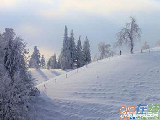 迟子建：我的世界下雪了