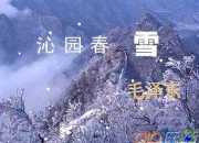 《沁園春·雪》寫作背景及賞析