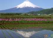 日本富士山圖片