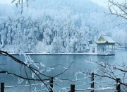 王崧舟湖心亭看雪賞析