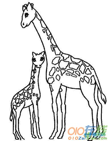 动物长颈鹿图片简笔画