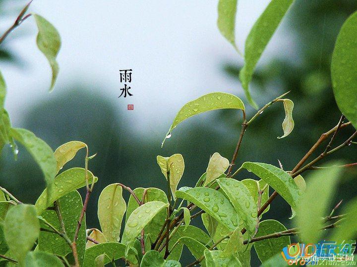 24节气雨水图片