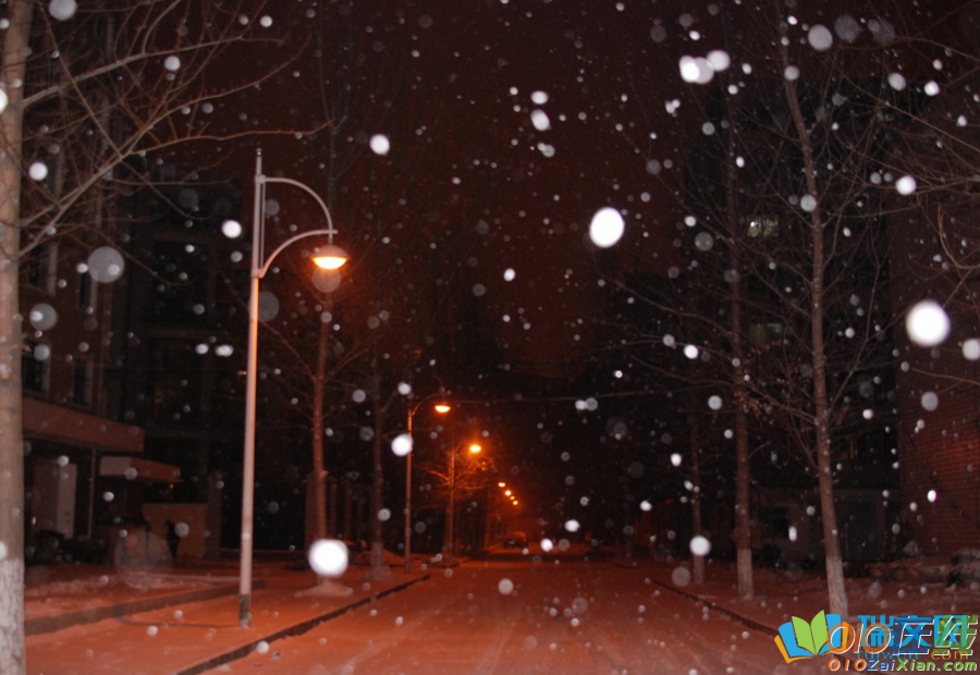 夜晚下雪的唯美图片