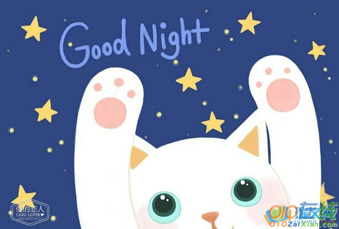 晚安猫猫可爱图片